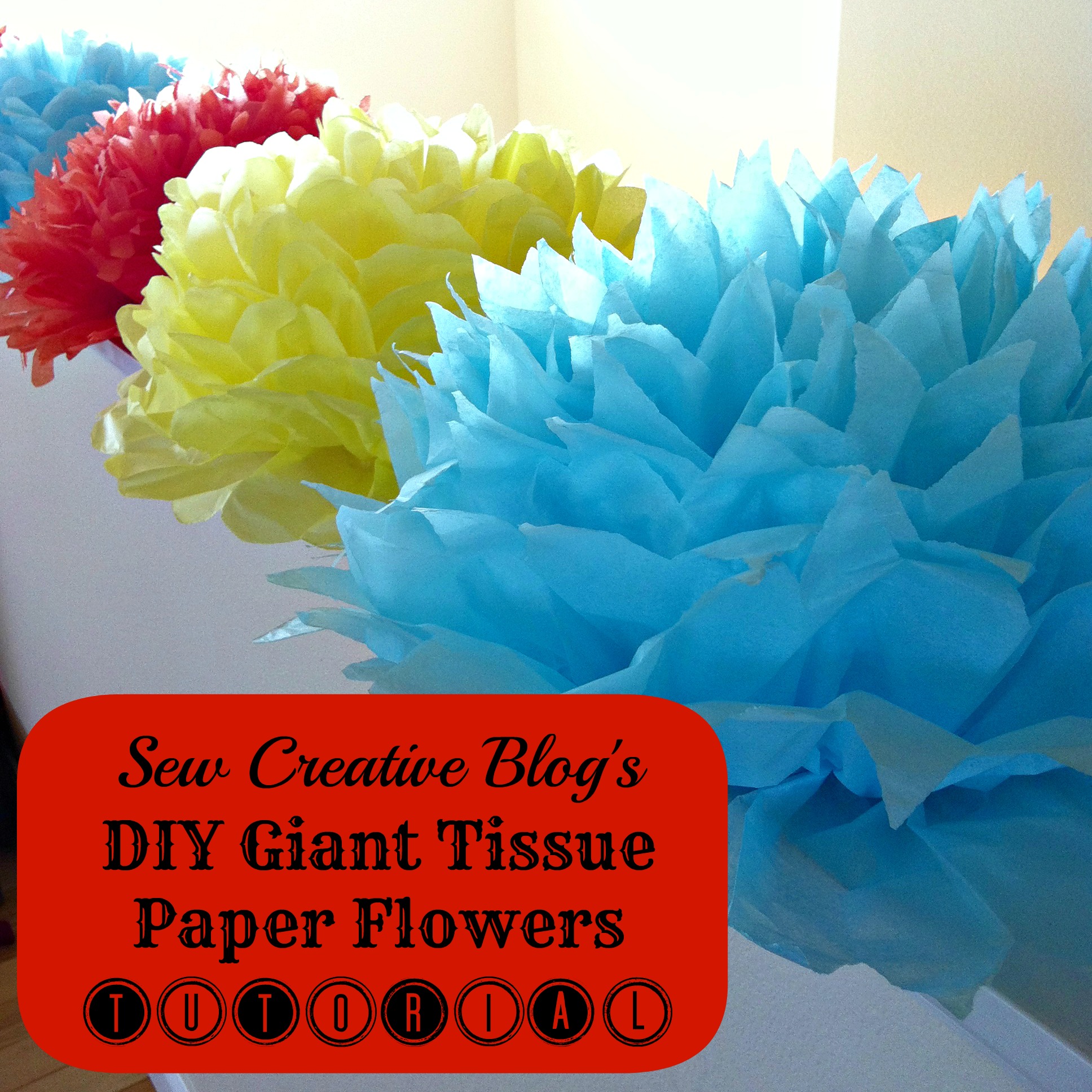 DIY Giant Handmade Tissue Paper Flowers Tutorial 2 for $1.00 Make Beautiful Birthday Party Decorations Final